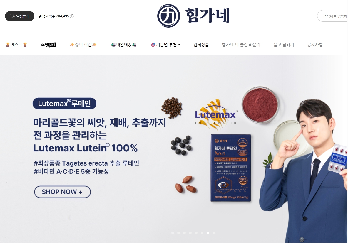 힘가네